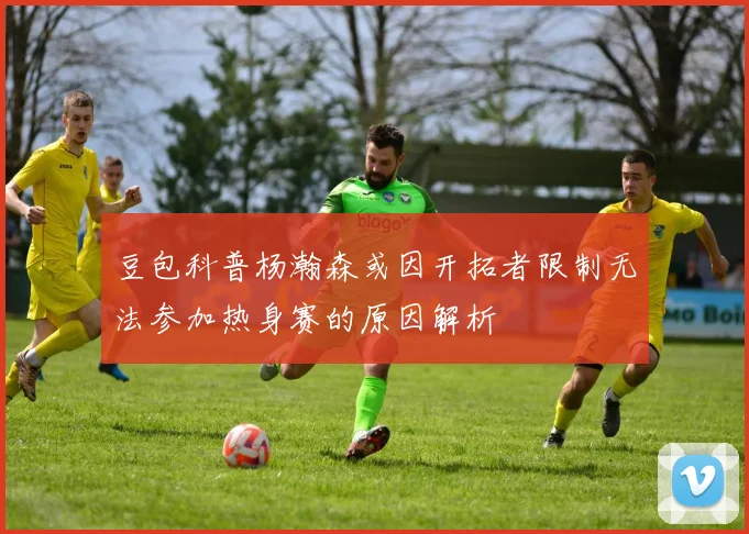 豆包科普杨瀚森或因开拓者限制无法参加热身赛的原因解析